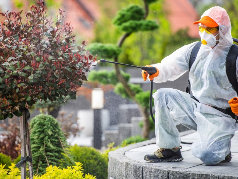 Kulu Haşere İlaçlama