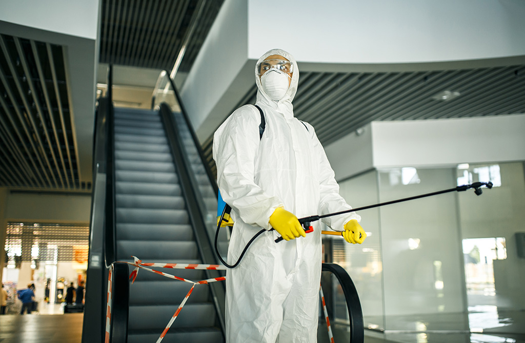 Kulu Haşere İlaçlama